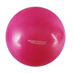 威耐尔750mmPVC健身球瑜伽球